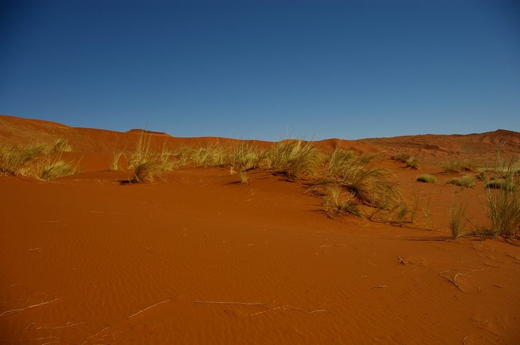 320 Namibia Okt 2006 .JPG